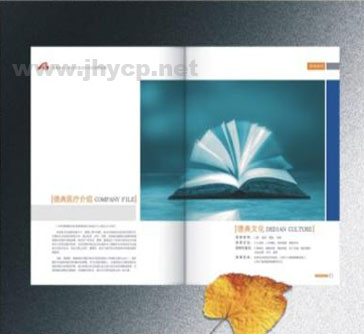 公司畫(huà)冊(cè)